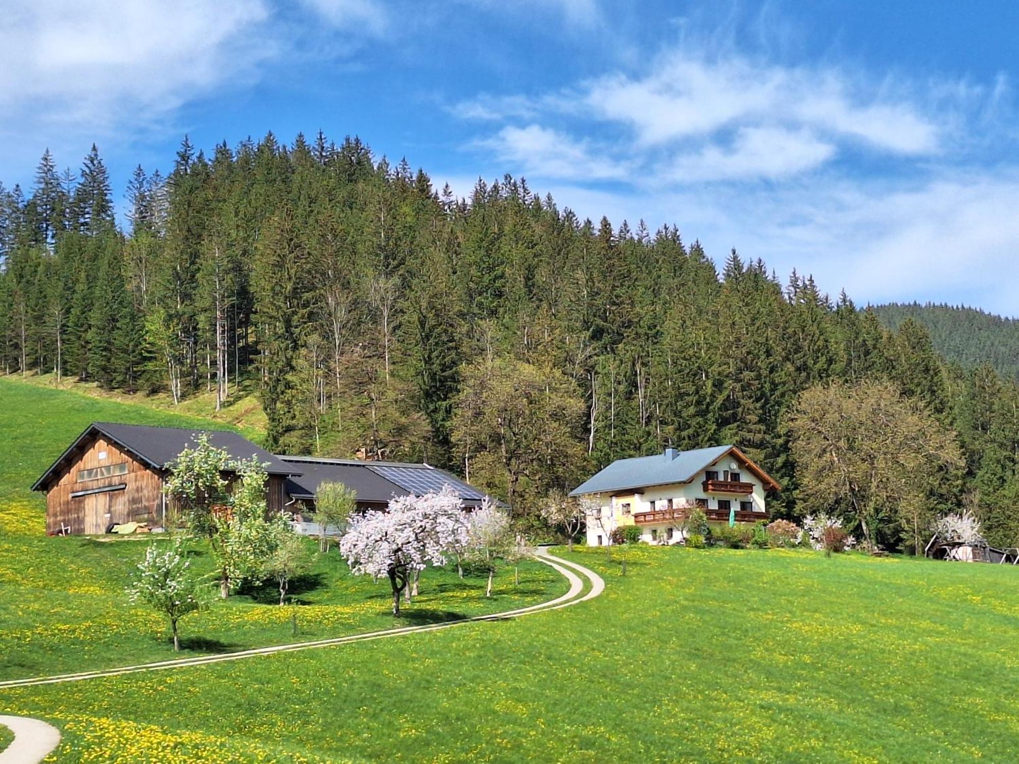Вилла Biobauernhof Poidlbauer Гестлинг-на-Ибсе Экстерьер фото